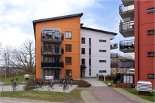 Image missing alt text