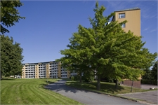 Image missing alt text