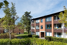 Image missing alt text