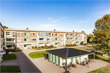 Image missing alt text