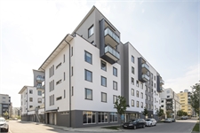 Image missing alt text