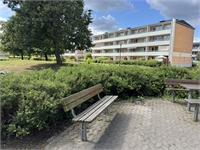 Image missing alt text