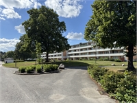 Image missing alt text