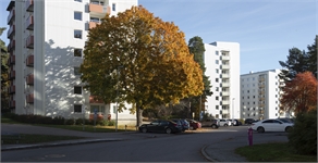 Image missing alt text