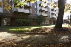 Image missing alt text