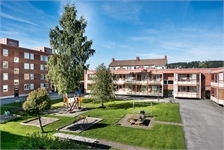 Image missing alt text