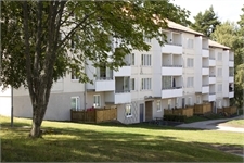 Image missing alt text