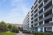 Image missing alt text