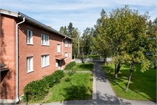 Image missing alt text