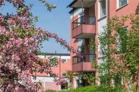 /Global/DisplayMultimediaDescription.ashx?guid=bf16a3cd-5ffa-4854-ba4d-efe796b518eb&width=1024